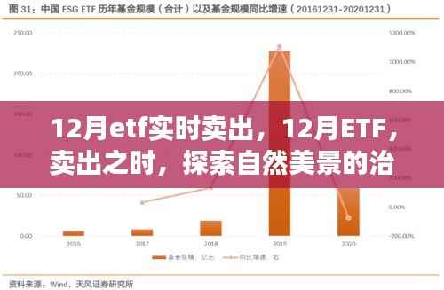 第544页