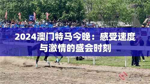 2024澳门特马今晚:感受速度与激情的盛会时刻