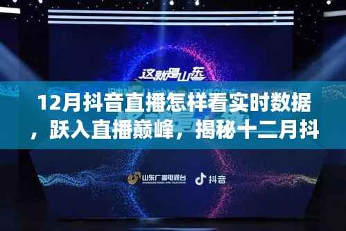 揭秘十二月抖音直播实时数据的魅力与成长之路,跃入巅峰的直播数据解析