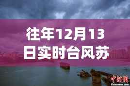台风苏力来袭的温馨日常,友情邂逅暖心时刻