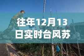 台风苏力来袭的温馨日常,友情邂逅暖心时刻