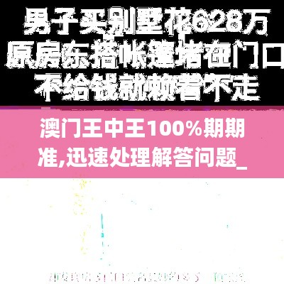 澳门王中王100%期期准,迅速处理解答问题_专业款12.628