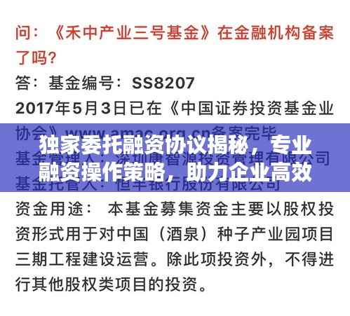 独家委托融资协议揭秘，专业融资操作策略，助力企业高效筹资！