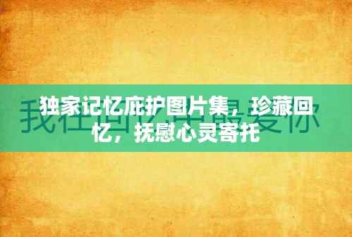 独家记忆庇护图片集,珍藏回忆,抚慰心灵寄托