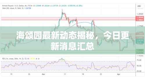 海颂园最新动态揭秘，今日更新消息汇总