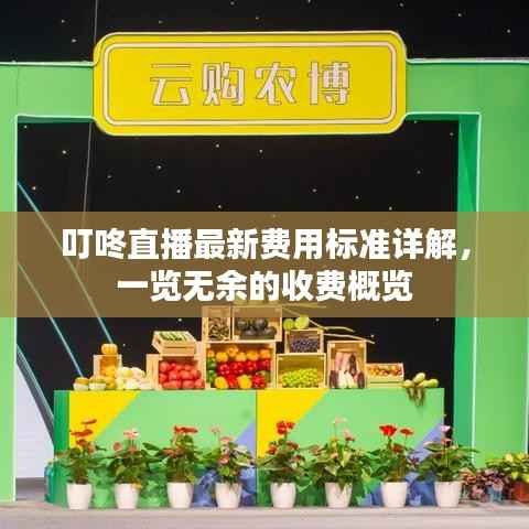 叮咚直播最新费用标准详解，一览无余的收费概览