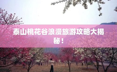 泰山桃花谷浪漫旅游攻略大揭秘！