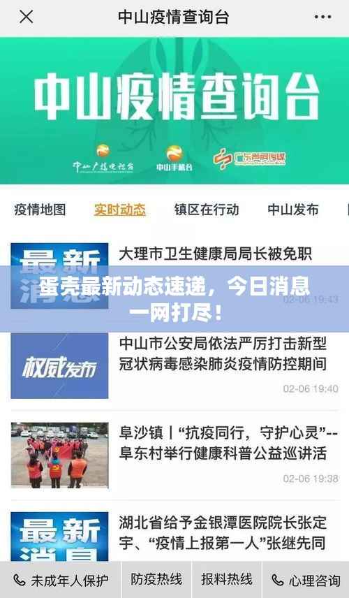 蛋壳最新动态速递,今日消息一网打尽!