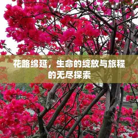 花路绵延,生命的绽放与旅程的无尽探索