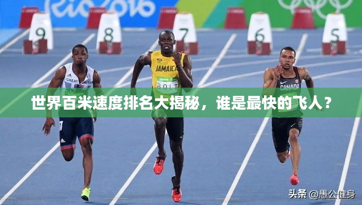 世界百米速度排名大揭秘，谁是最快的飞人？