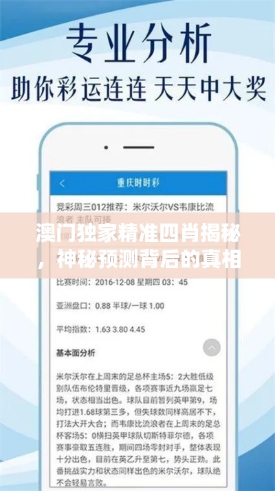 澳门独家精准四肖揭秘，神秘预测背后的真相探索