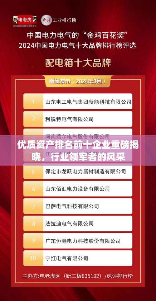 优质资产排名前十企业重磅揭晓,行业领军者的风采