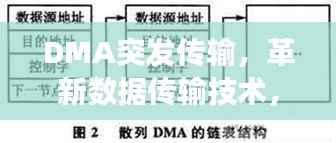 靡颜腻理