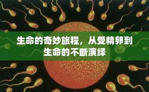 钗荆裙布