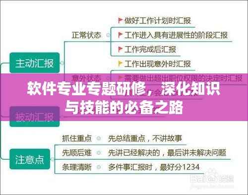 软件专业专题研修，深化知识与技能的必备之路