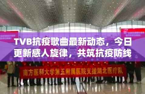 惊弓之鸟