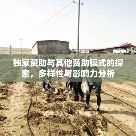 富贵荣华