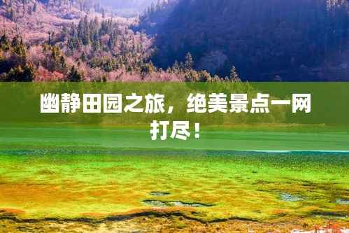 自由自在