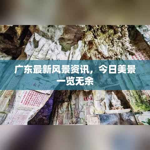 将计就计