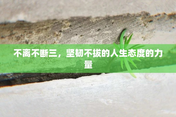 不拘小节